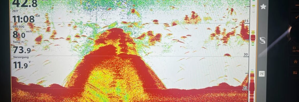 Humminbird