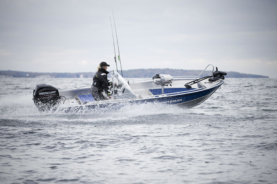 Linder Sportsman 445 Catch