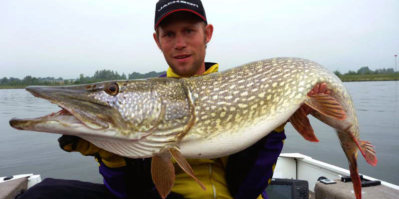 Stephan Gockel